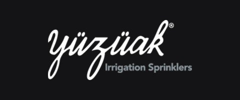 Yüzüak